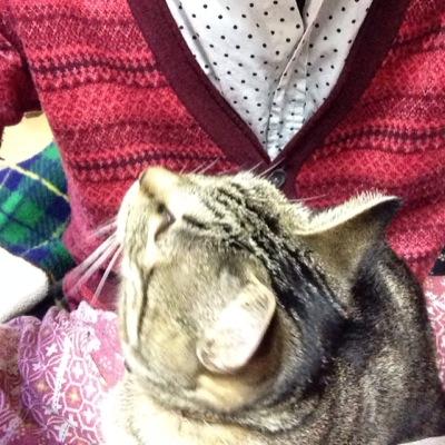 可児高校31期/滋賀大経済/軽音楽