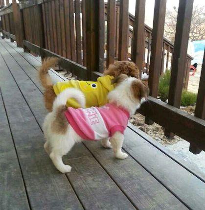 40e0cb80255c475's profile picture. 모든 부조리는 욕심에서 비롯된다  그로얻은 부가 폭력이 되는세상... , 더이상 힘이없어 고통받는이 없는 세상을 꿈꿉니다