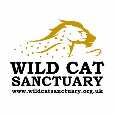 Wild Cat Sanctuary was established one main aim; To provide wild cats with a sanctuary within Europe with an environment as close as possible to the wild.