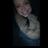 madisonjames6's profile image