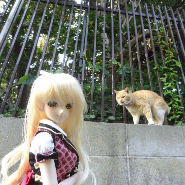 加賀オルタ