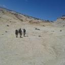 Calvin Manning - @calvinmanning36 - Twitter