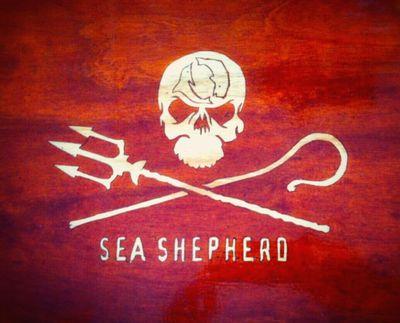 seashepfriend21's profile picture. If the oceans die, we die ~Captain Watson #SeaShepherd