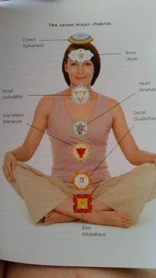 sapajean225's profile picture. Equilibrium-Reiki is an Australian owned Business run by a Master Chikara Reiki Do, Usui and Tibetan Reiki Practitioner. Equilibrium-Reiki inc EFT & Tarot