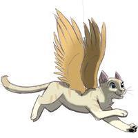 $Looks Like Profile Pic, Shecat, Single$ If one touches me I shattered into a million pieces and die.Only if a living being touches me that is.