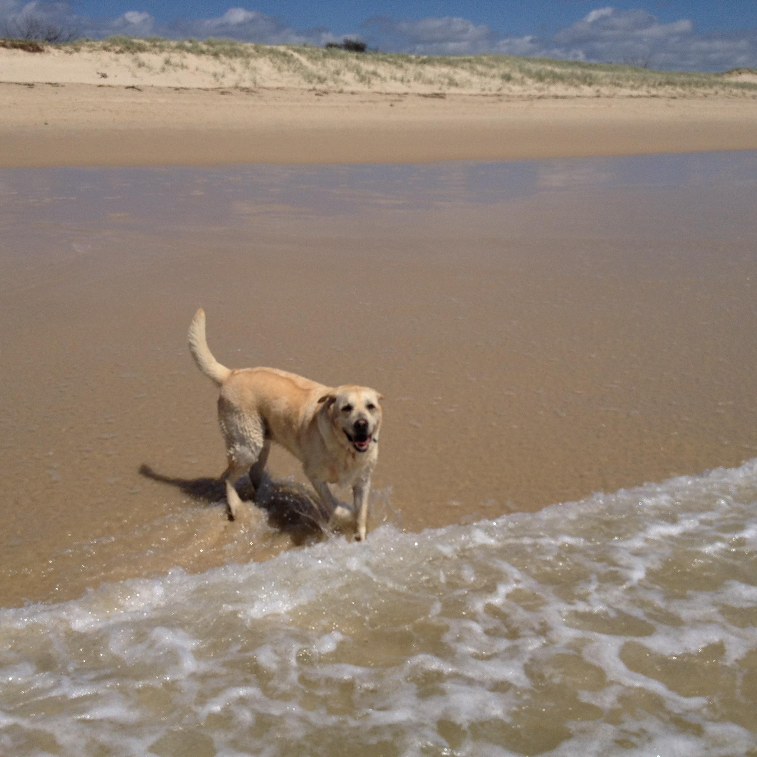 ScottGoray's profile picture. 