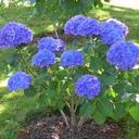 Laura Alberti - @soylauraalberti - Twitter