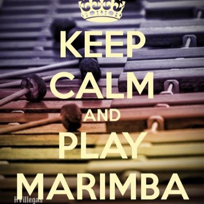 P I's best and only marimba player!! my favorite color is band, my favorite animal is the marimba, and my favorite sports team is the Santa Clara Vanguard!!