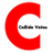 CallideVotes