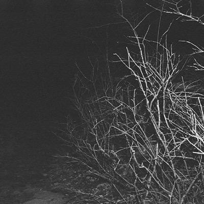 Filmmaker // Photographer //                             freddie@frederickpaxton.com