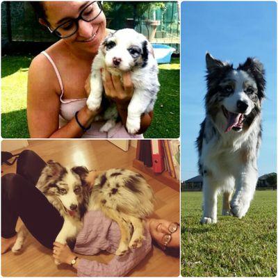 curlyshirey's profile picture. 