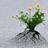 SheGrows24Seven's avatar