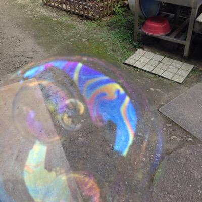 釣りアンド格闘技