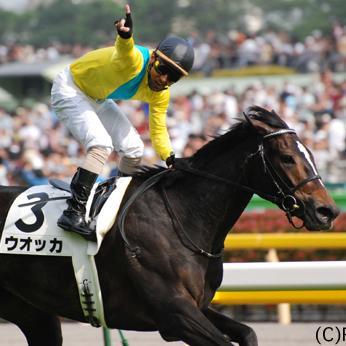 zazawapydac's profile picture. 競馬の役立つ最新ニュース、夢馬券GETへの裏情報も満載です！他では絶対に味わえないことも！？競馬ファン集まれ！