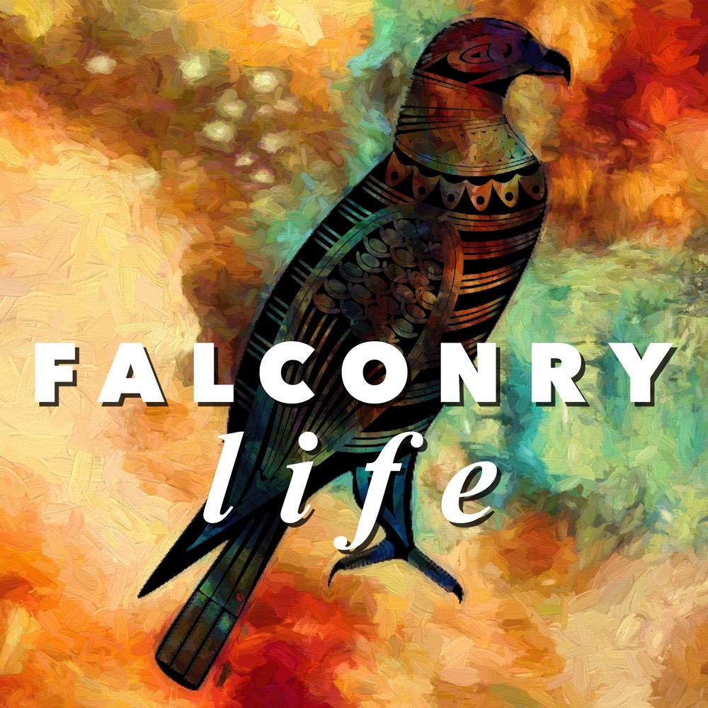 FalconryLife's profile picture. 