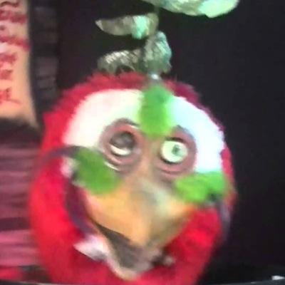 I tweet! Band member in the Rock-afire Explosion. I do not sing in public except for if my mama asks me to, and THAT'S FINAL! *Parody Account*