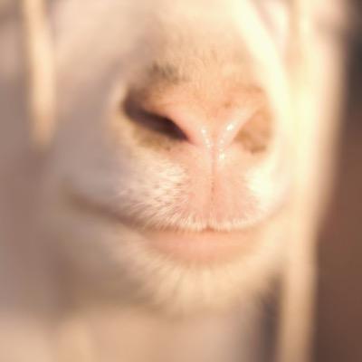ともさんのプロフィール画像