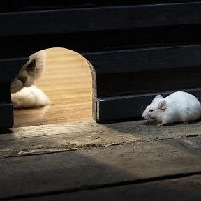 specops355's profile picture. 使用されておりません