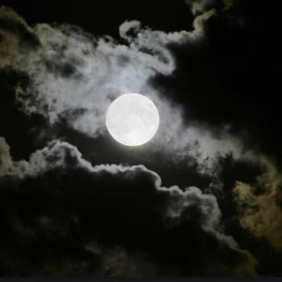 CsnoCano's profile picture. 