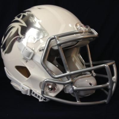 LeydenLions's profile picture. The Leyden Lions are a full-contact minor league football organization based in western Cook County. Dedicated to the seriousness of the sport.