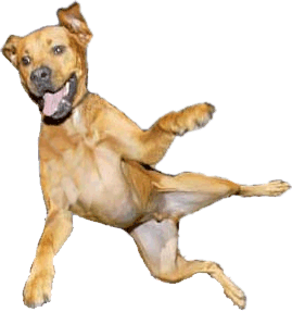 KaiserfromOT's profile picture. Grap on my tweets.