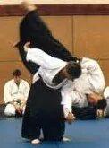 Stuntman, By Televisa and movie films, Hundetrainer,