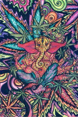 Tu as déjà vu un éléphant drogué? Non? maintenant oui.