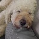 Julia Dubois - @jdubois685 - Twitter