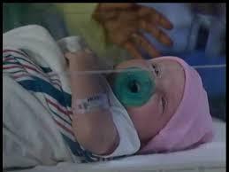 I'm baby georgie and my mommy is maxie and daddy is spinelli