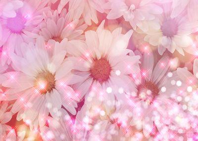 LFJMama's profile picture. 