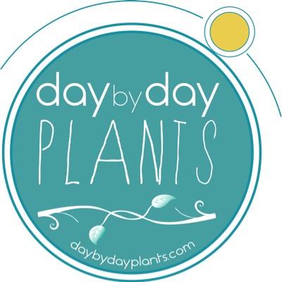 🌱Plant-based ways to sustainability, inspired by biodiversity and cultures. 🥬🥒🍅🥝🍐🍊 Promoting Fruits and Vegetables consumption