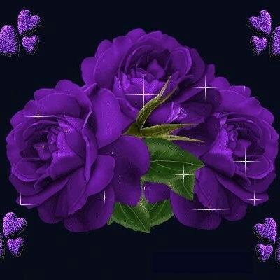 فراشة البنفسج