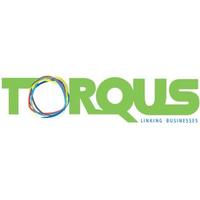 Torqus Systems(@TorqusSystems) 's Twitter Profile Photo