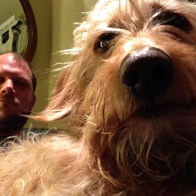 twodachshunds's profile picture. 