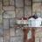 aysegul_turkhan's profile image