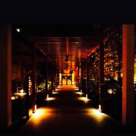 sihopeluxyzi's profile picture. 