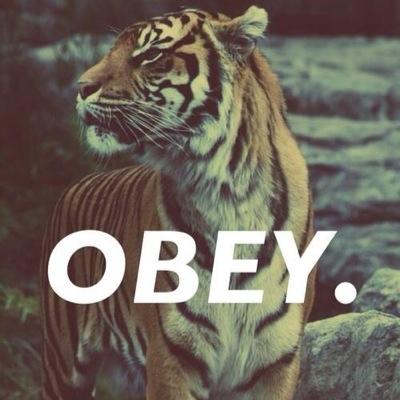 #notaboyband. Dogs are gonna bark. #talkdirtytomedance. Dirty pig i am a 13 year old janoskianator. Beau followed me. I met the Janoskians. Jai called me cute.