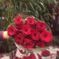 Çitlembik Çicekevi (@citlembikcicek) 's Twitter Profile