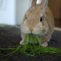 つな (@tsm5_) 's Twitter Profile