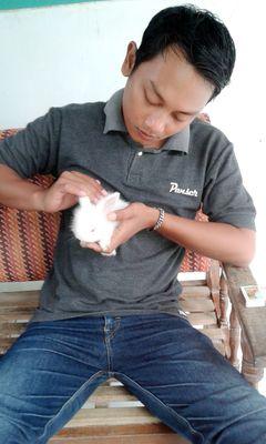 MamatzTaflexs's profile picture. Dauntless