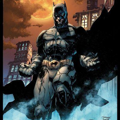 I seek the means to fight injustice, to turn fear on those who prey on the fearful. -Batman Begins