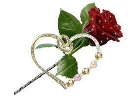 ‏‏‏طائر لنورس