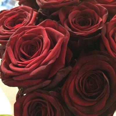 Pjjfoods's profile picture. Wholesalers of quality fruit, vegetables and flowers to the South Wales region. Follow us for updates on new season produce and special offers.