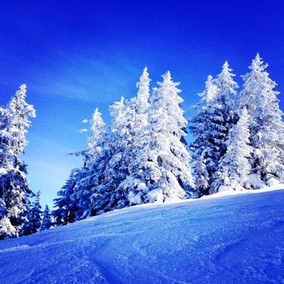 ClaraTauchert's profile picture. a student from Germany