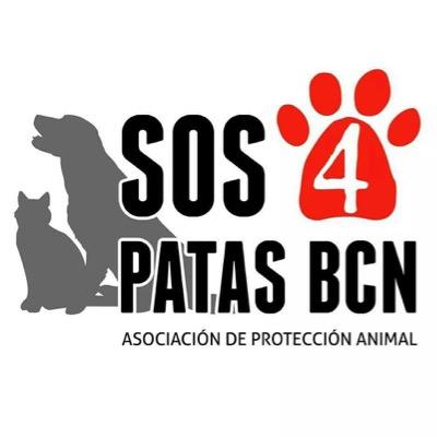 Asociación de protección animal en Barcelona y alrededores