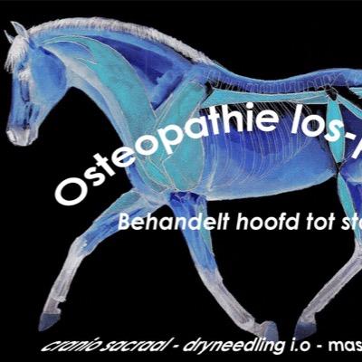 Osteopathie - Dry Needling - Diverse massage technieken - Craniosacraal therapie - Instructie - WOW zadels