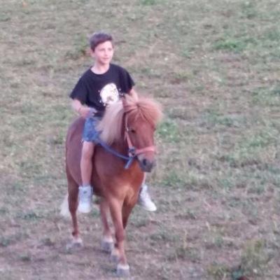 ma passion l equitation