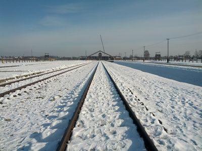 rbc_pe's profile picture. 