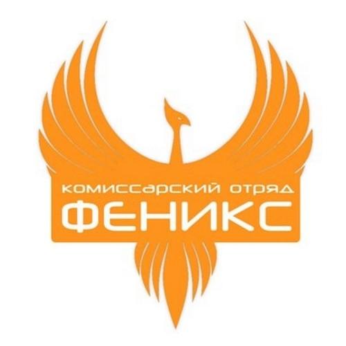 TulaPhoenix's profile picture. Комиссарский Отряд Феникс - активно развивающийся педагогический отряд Тульской Области. Наши основные теги: #КОФеникс #ШАМотивация #сменаДай5 #BetaЛето