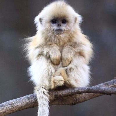 beautifuulsoul_'s profile picture. Life's what you make it so let's make it rock - Hannah Montana //Idontgiveafuq.